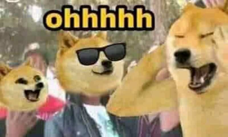 Doge Meme Template | All Doge Funny Meme Templates | Doge Memes - Internet Meme Lord
