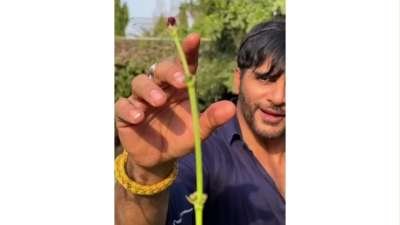Viraj Dobariyal Viral Instagram Edit Memes Download