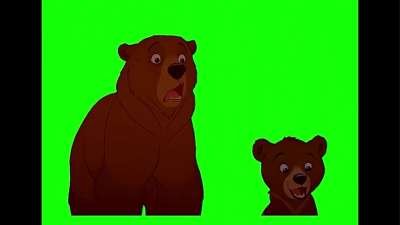 Kenai saying &#34;What?&#34; to Koda Green Screen Memes Download