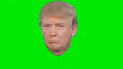 Trump Green screen Memes Download