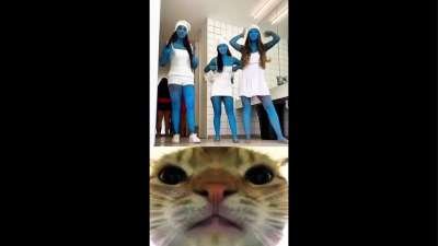Hilarious Funny Memes