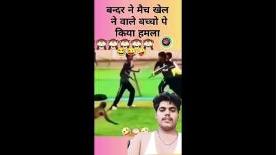 Hilarious Funny Memes