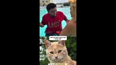 Cat Funny Memes