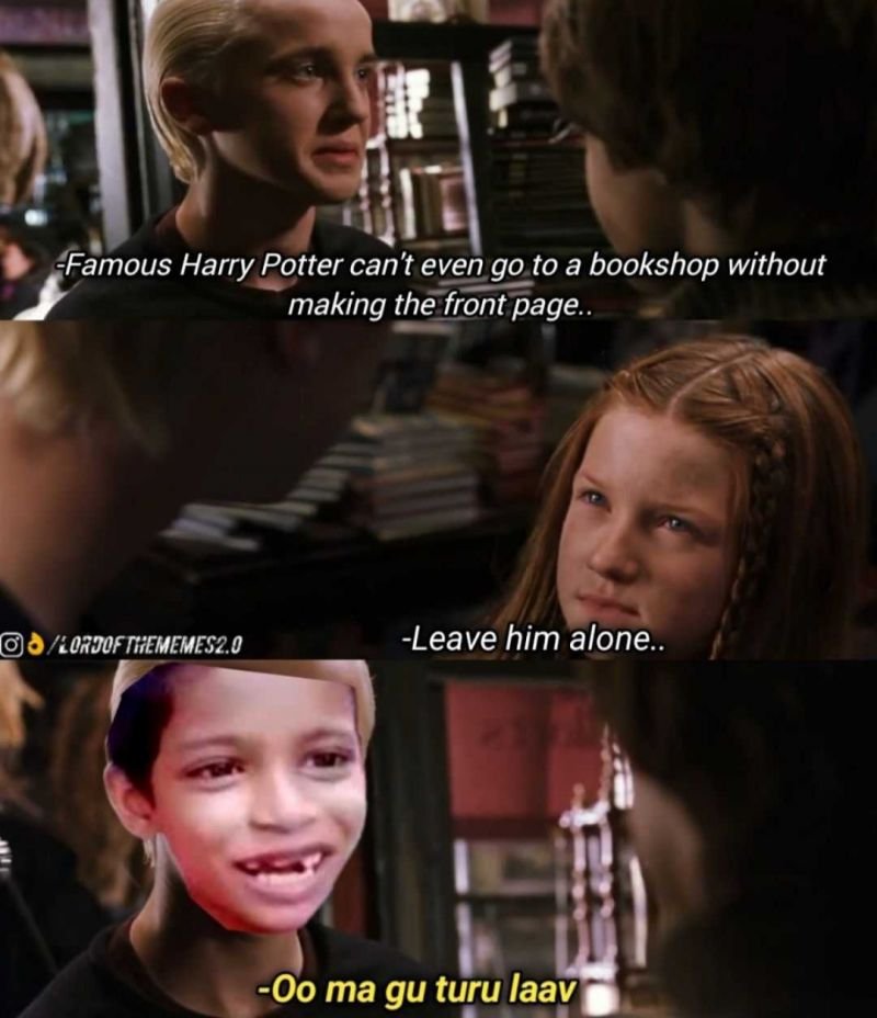 100+ Harry Potter Memes, Funny Harry Potter Memes