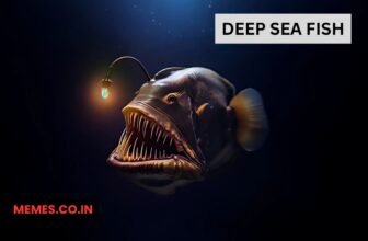 deep sea fish