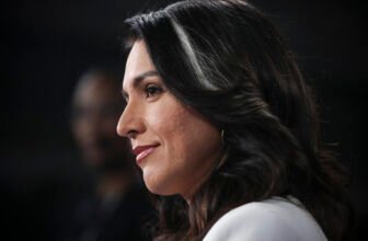 Tulsi Gabbard