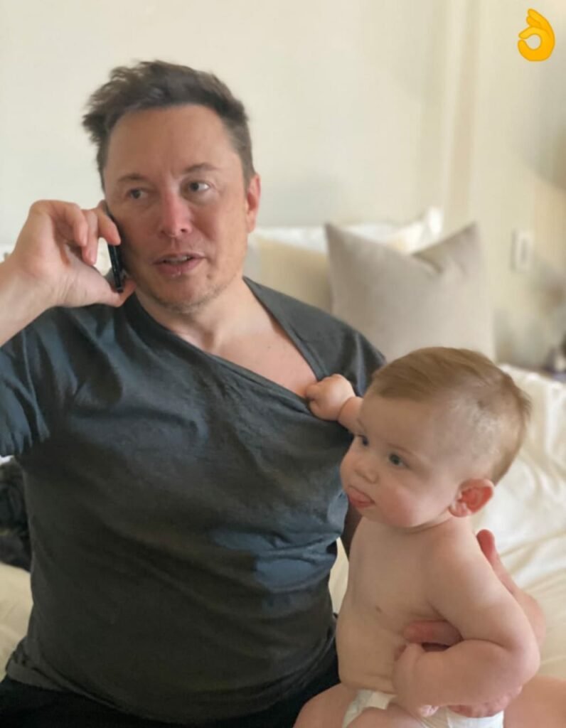 elon musk meme template