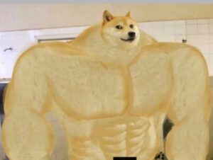 20+ Doge Meme Templates That Help You To Make Hilarious Memes | Memes.co.in