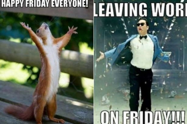 funny friday memes