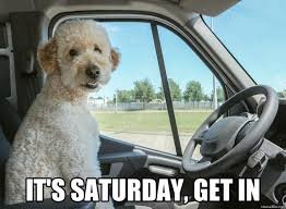 saturday afternoon