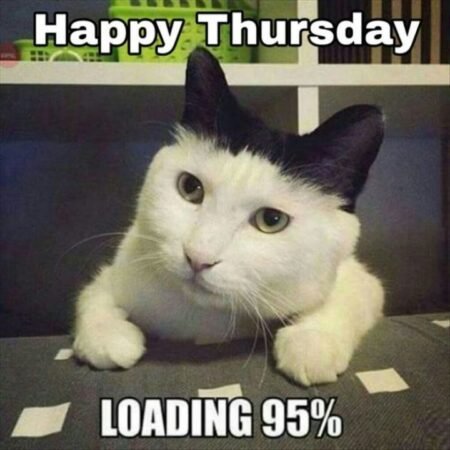 Thursday Memes That Work Day To Make You Smile | Memes.co.in