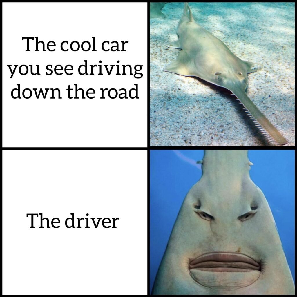 Sawfish Template And Meme Are Getting Viral On Social Media