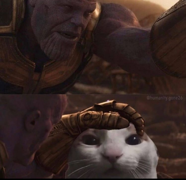 Me Petting My Cat Template And Meme Are Getting Viral On Internet