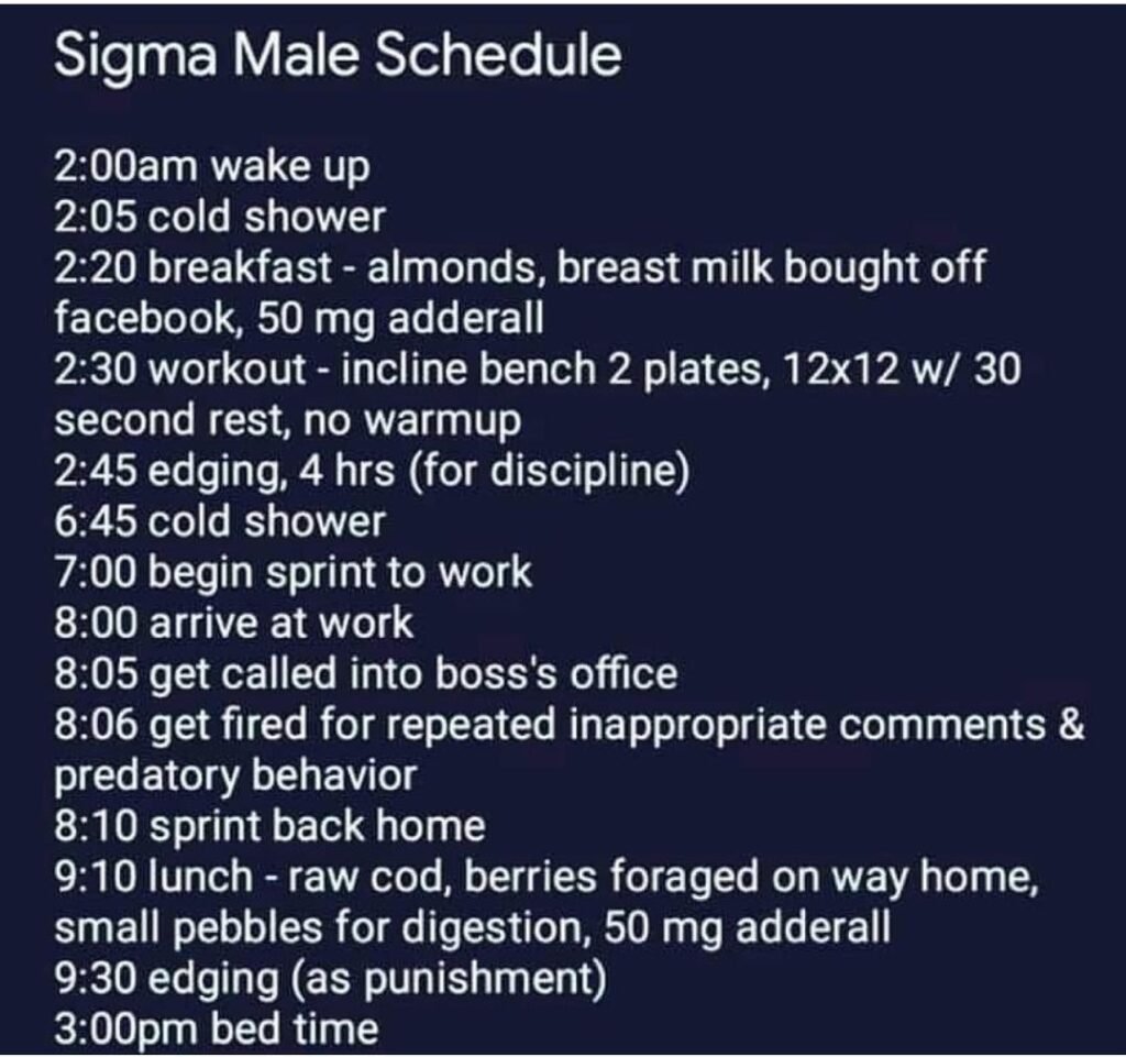 Sigma male meaning