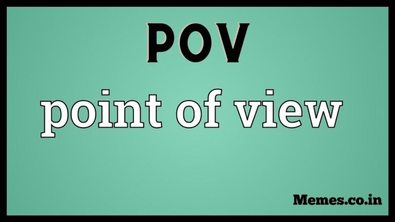what does pov mean