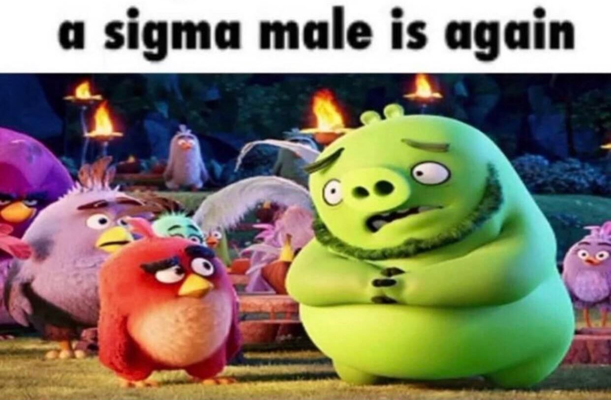 50 Funny Sigma Male Memes That Will Make You Laugh ZOHAL