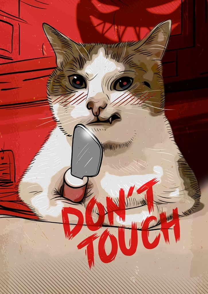 cat memes