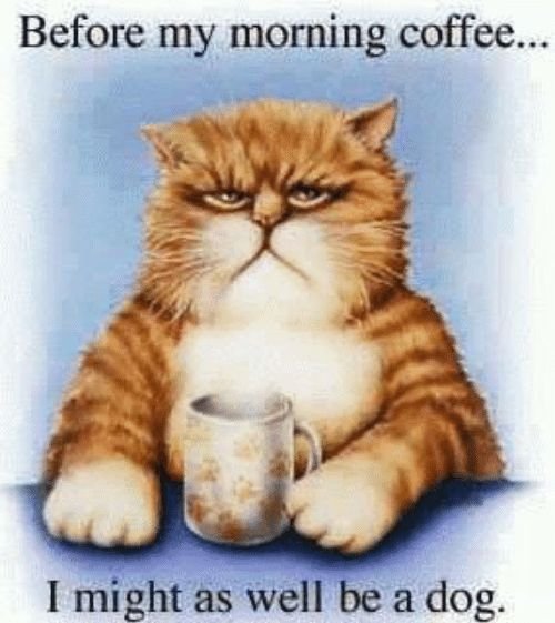 Good Morning Memes