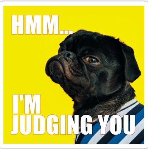 funny dog memes