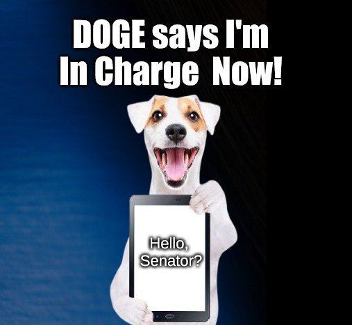 funny dog memes