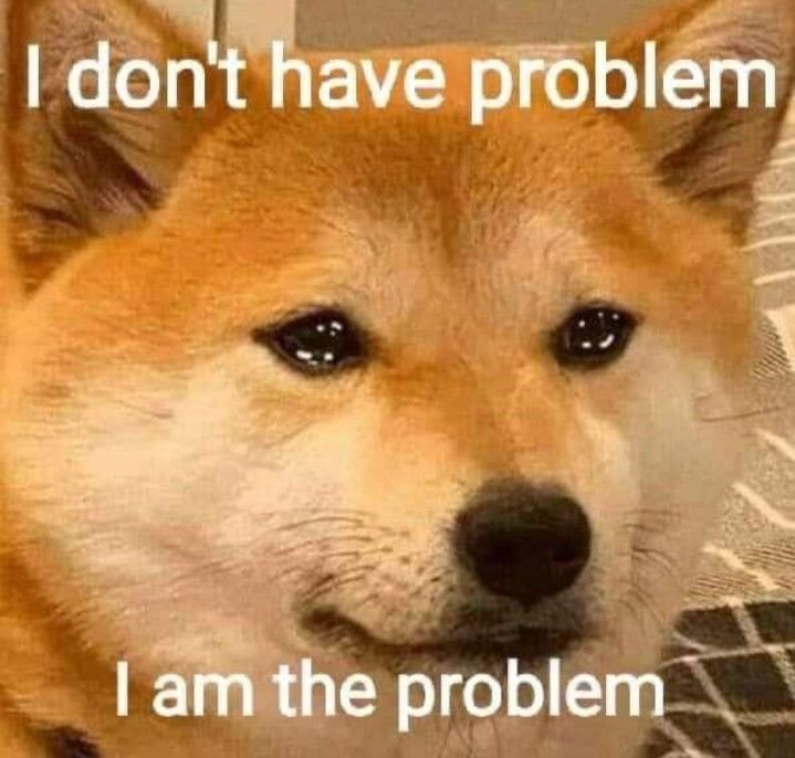 funny dog memes