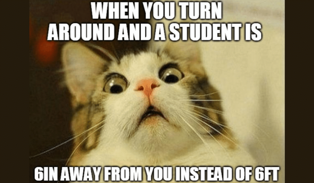 Cat Funny Memes