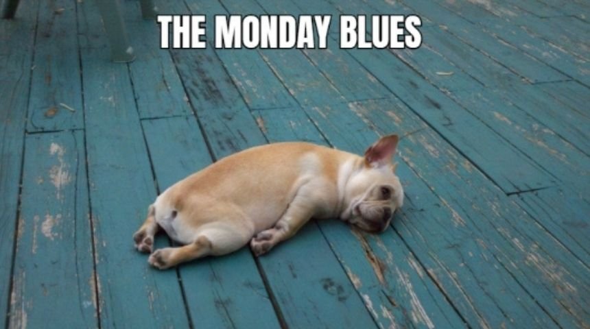 Hilarious Memes About Life
