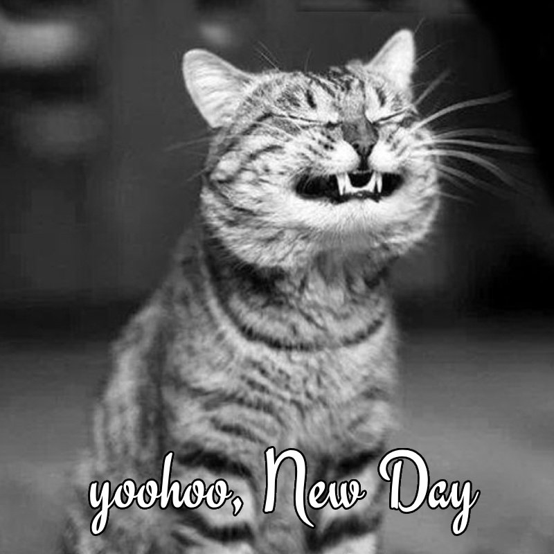 Good Morning Memes