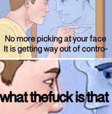 Funny Memes