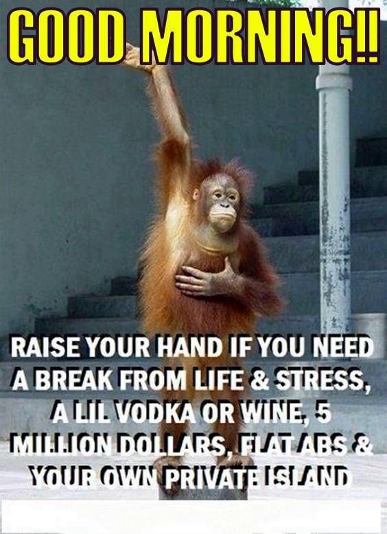 Good Morning Memes