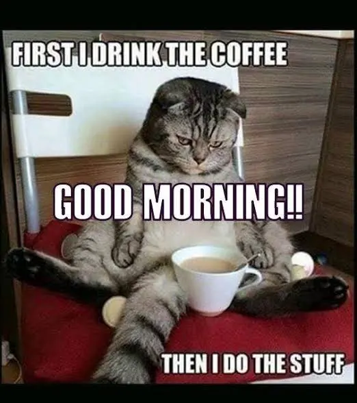 Good Morning Memes