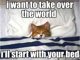 Hilarious Memes About Life