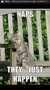 Hilarious Memes About Life