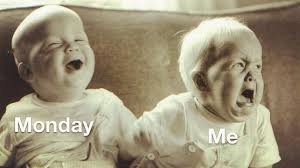 Hilarious Memes About Life