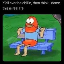 Hilarious Memes About Life