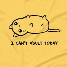 cat memes