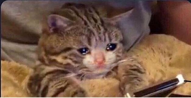 sad memes
