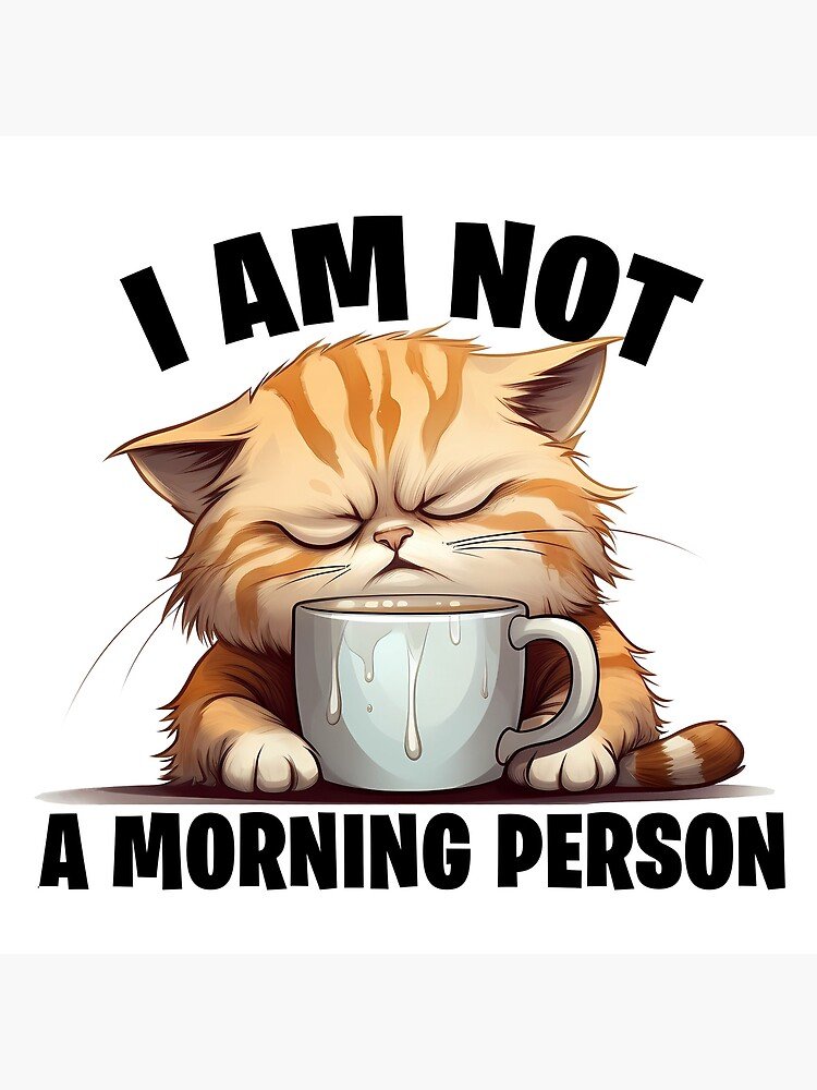 Cat memes