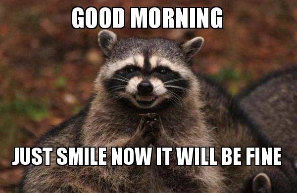 Good Morning Memes