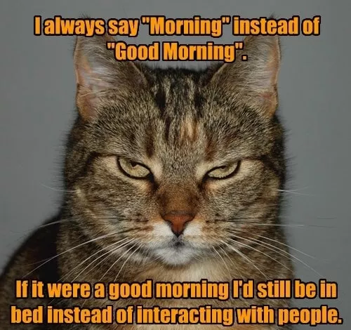 Good Morning Memes