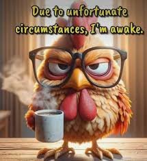 Good Morning Memes