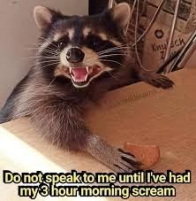 Good Morning Memes