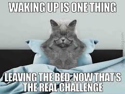 Good Morning Memes