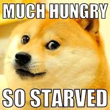 funny dog memes