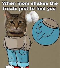 Cat memes
