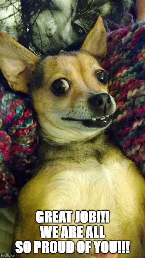 dog memes