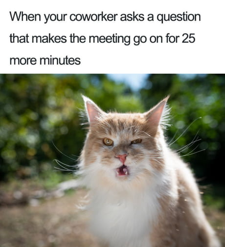Good Morning Memes
