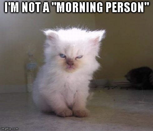 hilarious memes
