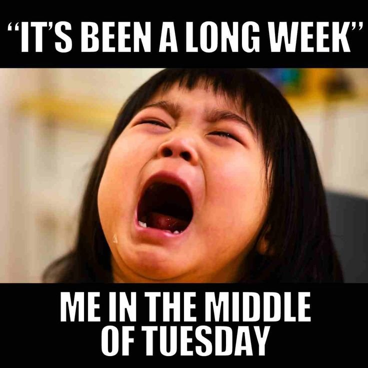 Tuesday Memes