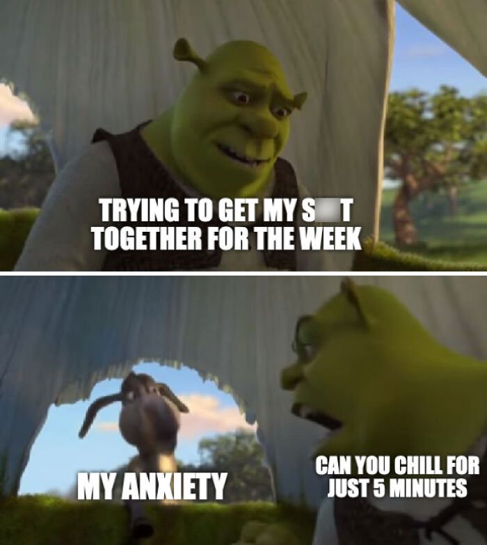 shrek memes